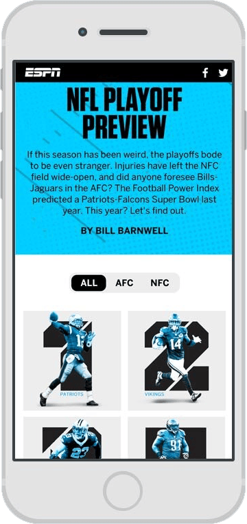 NFL Playoff Preview — view 1